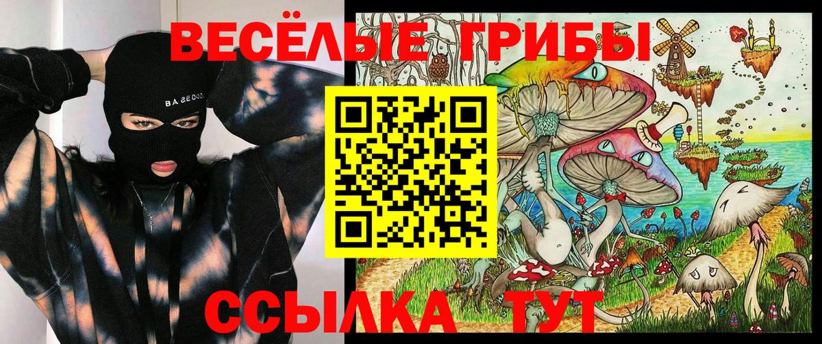 Муром  Галлюциногенные грибы ЛСД  Вход с VPN 